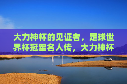 大力神杯的见证者，足球世界杯冠军名人传，大力神杯见证者，世界杯冠军名人传