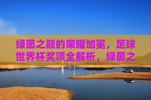 绿茵之巅的荣耀加冕，足球世界杯奖项全解析，绿茵之巅的荣耀加冕，足球世界杯奖项全解析