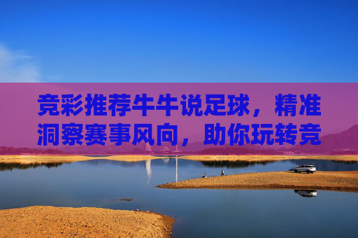 竞彩推荐牛牛说足球，精准洞察赛事风向，助你玩转竞彩乐趣，牛牛说足球，精准洞察赛事风向，玩转竞彩乐趣