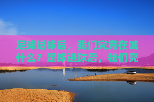 足球进球后，我们究竟在喊什么？足球进球后，我们究竟在喊什么？