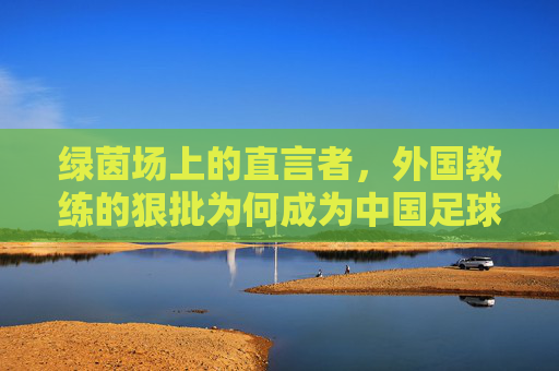 绿茵场上的直言者，外国教练的狠批为何成为中国足球的清醒剂？外国教练的狠批，中国足球的清醒剂