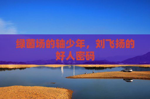 绿茵场的轴少年，刘飞扬的好人密码