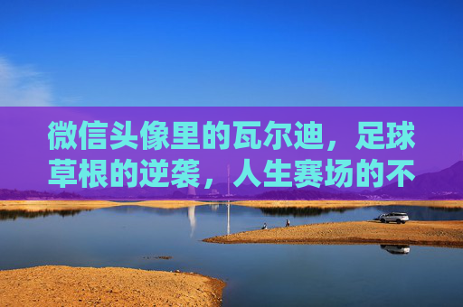 微信头像里的瓦尔迪，足球草根的逆袭，人生赛场的不屈注脚