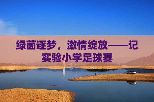 绿茵逐梦，激情绽放——记实验小学足球赛