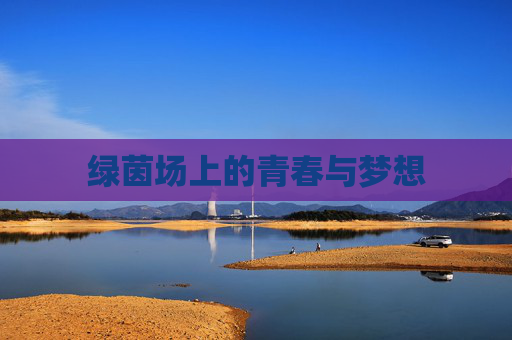 绿茵场上的青春与梦想