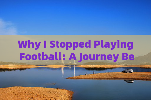 Why I Stopped Playing Football: A Journey Beyond the Pitch，Why I Stopped Playing Football: Beyond the Pitch