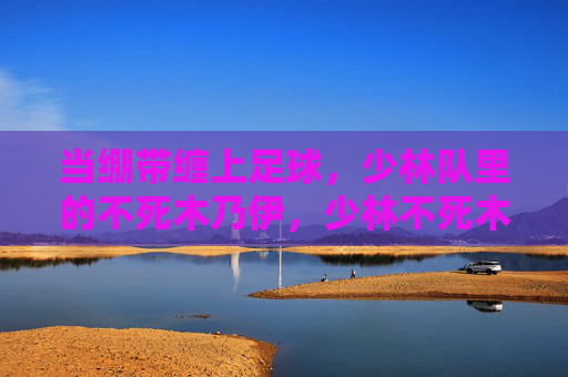 当绷带缠上足球，少林队里的不死木乃伊，少林不死木乃伊，绷带缠足球
