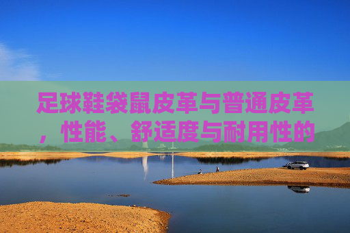 足球鞋袋鼠皮革与普通皮革，性能、舒适度与耐用性的全面解析，足球鞋袋鼠皮革VS普通皮革，性能、舒适度与耐用性全面解析