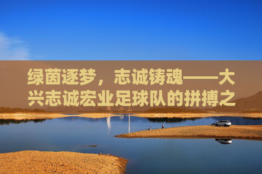 绿茵逐梦，志诚铸魂——大兴志诚宏业足球队的拼搏之路