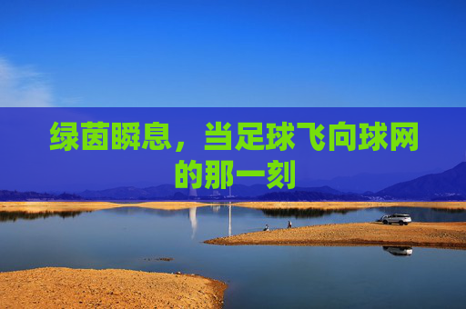 绿茵瞬息，当足球飞向球网的那一刻