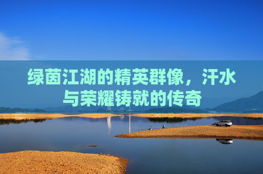 绿茵江湖的精英群像，汗水与荣耀铸就的传奇