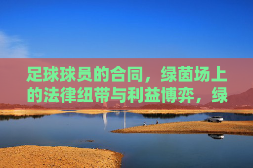 足球球员的合同，绿茵场上的法律纽带与利益博弈，绿茵场上的合同，法律纽带与利益博弈