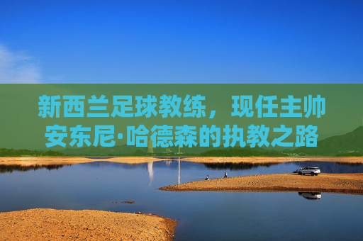 新西兰足球教练，现任主帅安东尼·哈德森的执教之路与球队展望，安东尼·哈德森，新西兰主帅的执教之路与球队展望