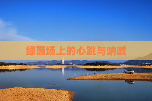 绿茵场上的心跳与呐喊