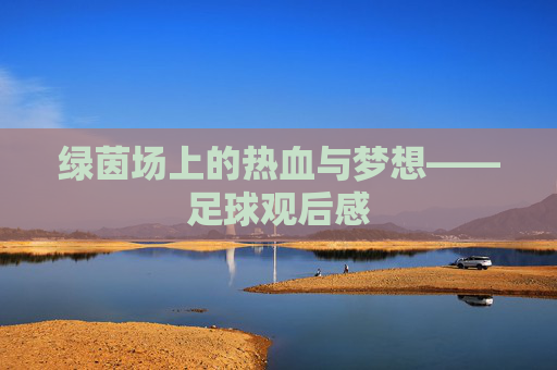 绿茵场上的热血与梦想——足球观后感