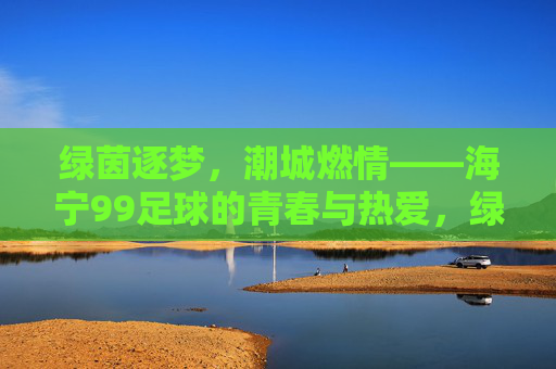 绿茵逐梦，潮城燃情——海宁99足球的青春与热爱，绿茵逐梦，潮城燃情——海宁99足球的青春热爱
