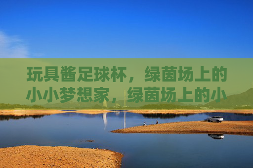玩具酱足球杯，绿茵场上的小小梦想家，绿茵场上的小小梦想家