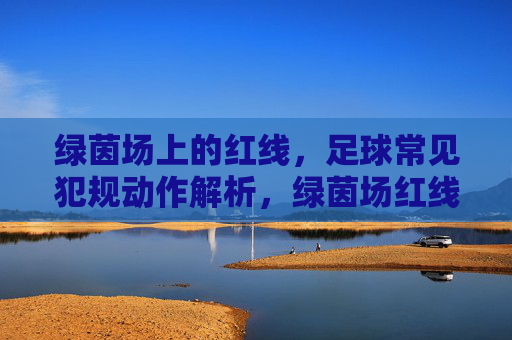绿茵场上的红线，足球常见犯规动作解析，绿茵场红线，足球常见犯规动作解析