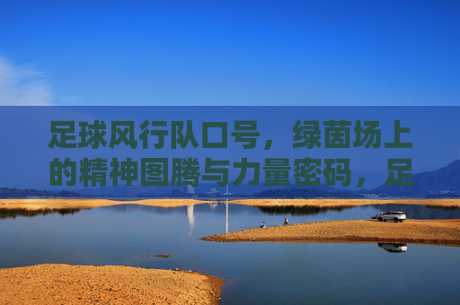 足球风行队口号，绿茵场上的精神图腾与力量密码，足球风行队口号，绿茵场的精神图腾与力量密码