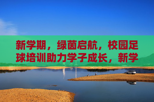 新学期，绿茵启航，校园足球培训助力学子成长，新学期绿茵启航 校园足球培训助力学子成长