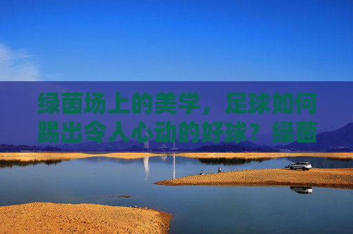 绿茵场上的美学，足球如何踢出令人心动的好球？绿茵场上的美学，足球如何踢出心动好球？