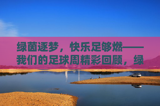 绿茵逐梦，快乐足够燃——我们的足球周精彩回顾，绿茵逐梦，快乐燃情——足球周精彩回顾