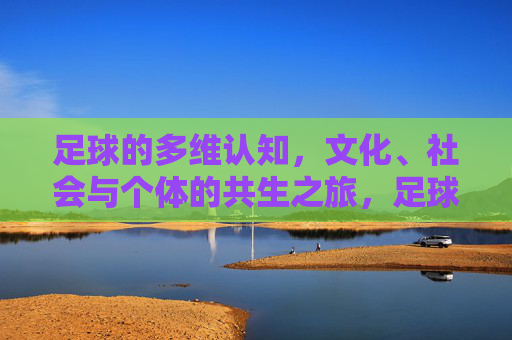足球的多维认知，文化、社会与个体的共生之旅，足球的多维共生认知，文化、社会与个体的交融之旅