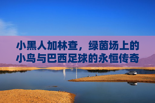 小黑人加林查，绿茵场上的小鸟与巴西足球的永恒传奇，绿茵小鸟，加林查与巴西足球的永恒传奇