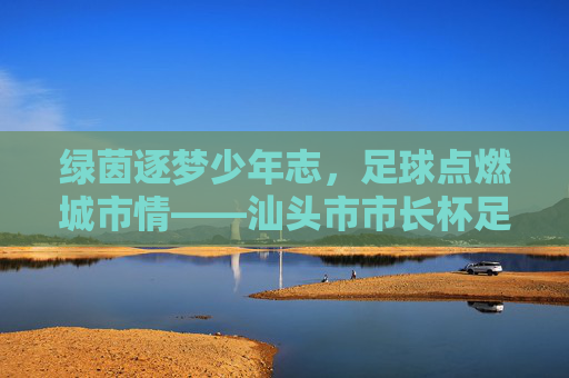 绿茵逐梦少年志，足球点燃城市情——汕头市市长杯足球赛燃情启幕，少年志·足球情·汕头梦——市长杯足球赛燃情启幕