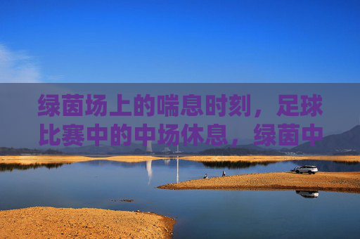 绿茵场上的喘息时刻，足球比赛中的中场休息，绿茵中场，足球比赛的喘息时刻