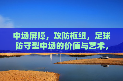 中场屏障，攻防枢纽，足球防守型中场的价值与艺术，中场屏障与攻防枢纽，防守型中场的价值与艺术