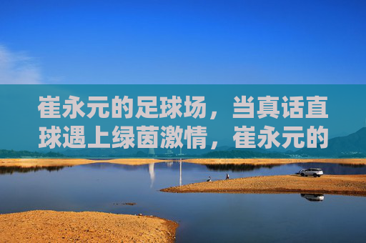 崔永元的足球场，当真话直球遇上绿茵激情，崔永元的足球场，真话直球遇上绿茵激情