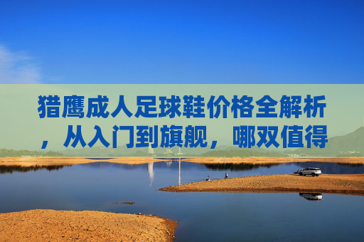 猎鹰成人足球鞋价格全解析，从入门到旗舰，哪双值得入手？猎鹰成人足球鞋价格全解析，入门到旗舰哪双值得入手？