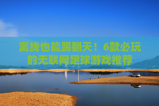 离线也能踢翻天！6款必玩的无联网足球游戏推荐