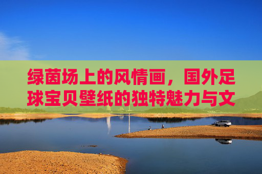 绿茵场上的风情画，国外足球宝贝壁纸的独特魅力与文化视角，国外足球宝贝壁纸，绿茵风情与文化视角