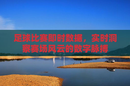 足球比赛即时数据，实时洞察赛场风云的数字脉搏