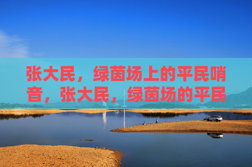 张大民，绿茵场上的平民哨音，张大民，绿茵场的平民哨音