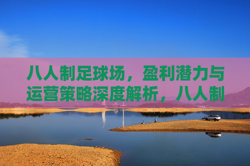 八人制足球场，盈利潜力与运营策略深度解析，八人制足球场盈利潜力与运营策略深度解析