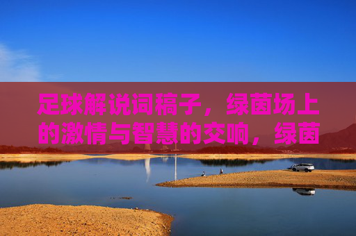足球解说词稿子，绿茵场上的激情与智慧的交响，绿茵场，激情与智慧的足球交响