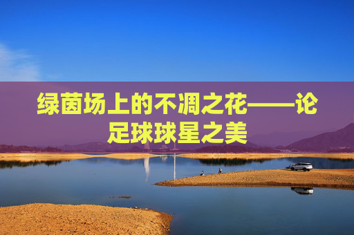 绿茵场上的不凋之花——论足球球星之美