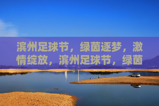 滨州足球节，绿茵逐梦，激情绽放，滨州足球节，绿茵逐梦，激情绽放