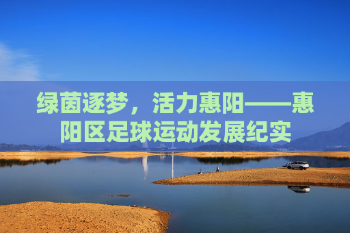 绿茵逐梦，活力惠阳——惠阳区足球运动发展纪实