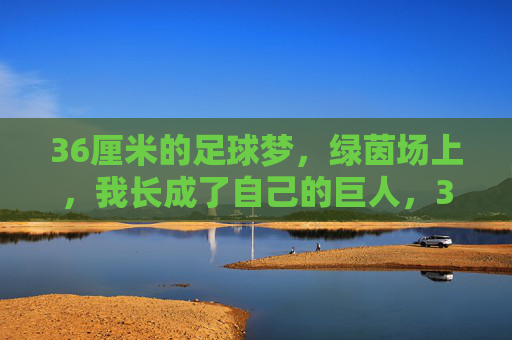 36厘米的足球梦，绿茵场上，我长成了自己的巨人，36厘米足球梦，我长成绿茵巨人