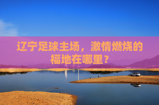 辽宁足球主场，激情燃烧的福地在哪里？