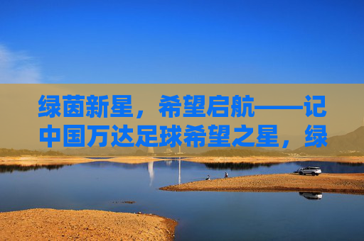 绿茵新星，希望启航——记中国万达足球希望之星，绿茵新星，希望启航——中国万达足球希望之星