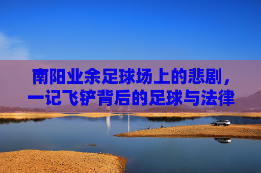 南阳业余足球场上的悲剧，一记飞铲背后的足球与法律之思