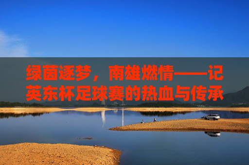绿茵逐梦，南雄燃情——记英东杯足球赛的热血与传承，南雄英东杯，绿茵逐梦，热血传承