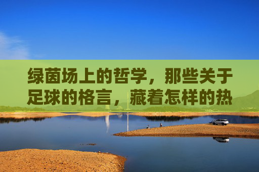 绿茵场上的哲学，那些关于足球的格言，藏着怎样的热血与智慧？绿茵哲学，足球格言里的热血与智慧
