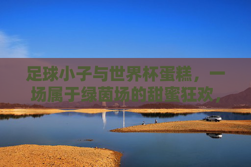 足球小子与世界杯蛋糕，一场属于绿茵场的甜蜜狂欢，足球小子与世界杯蛋糕的绿茵场甜蜜狂欢
