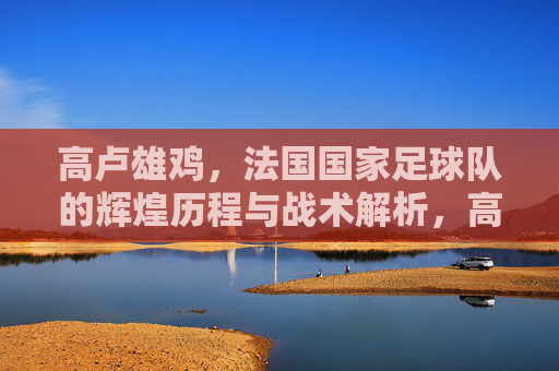 高卢雄鸡，法国国家足球队的辉煌历程与战术解析，高卢雄鸡，法国国家足球队的辉煌历程与战术解析